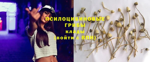 скорость Пестово