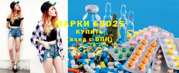 spice Всеволожск