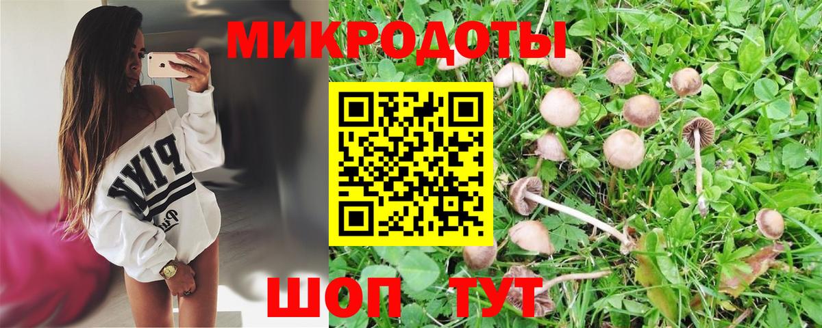 Галлюциногенные грибы GOLDEN TEACHER  Вход с VPN  Галлюциногенные грибы прущие грибы  Киреевск 