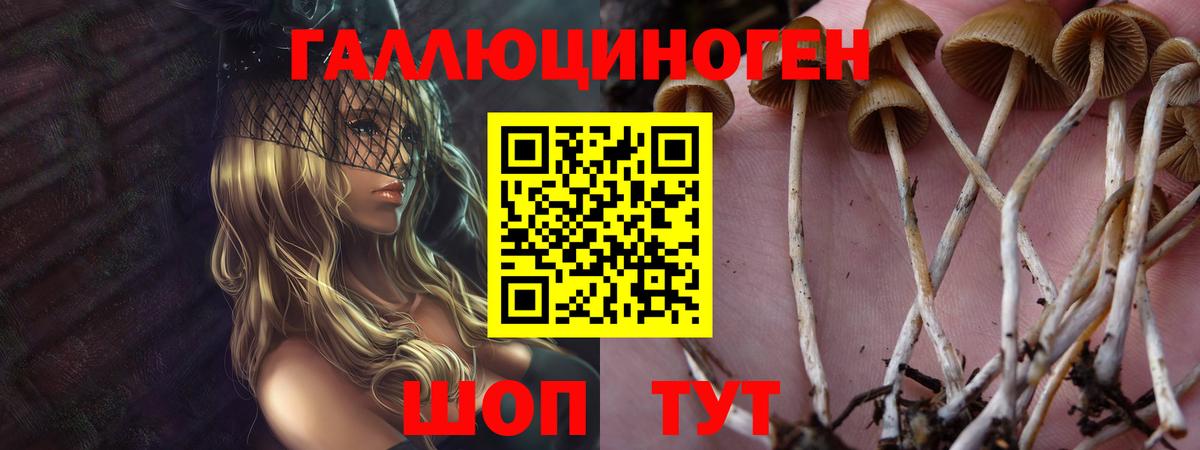 Псилоцибиновые грибы Psilocybe  Киреевск  Псилоцибиновые грибы Psilocybe 