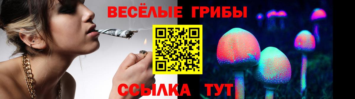Галлюциногенные грибы MAGIC MUSHROOMS Киреевск