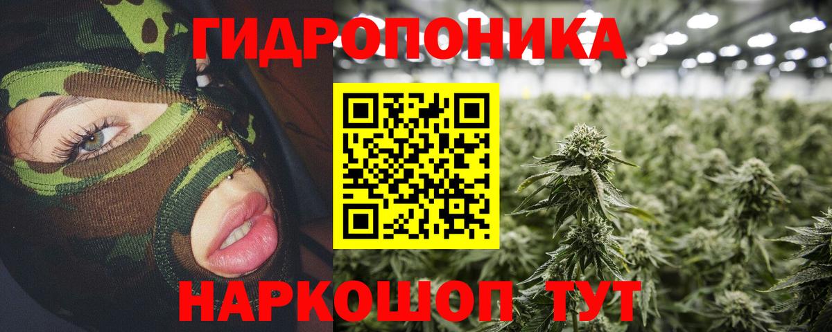 Конопля план  Шишки марихуана тримм  Киреевск  Шишки марихуана семена 